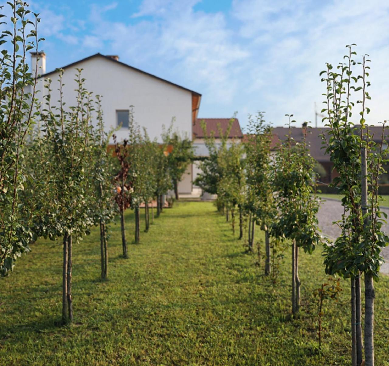 Agriturismo Corte Foscara Malcontenta Kültér fotó